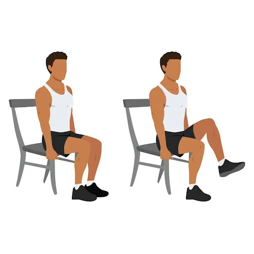 seated leg lifts